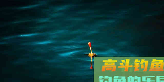 这7种漂相都是鲫鱼吃钩，看你错过多少鱼