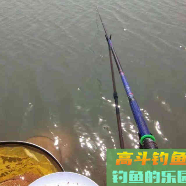 鲤鱼的口味怎么像女朋友的心情,说变就变 鲤鱼的口味怎么像女朋友的心情,说变就变