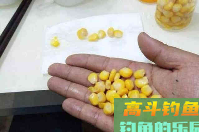 到了伏天，居然还嫌鳊鱼不好钓？按我说的做吧