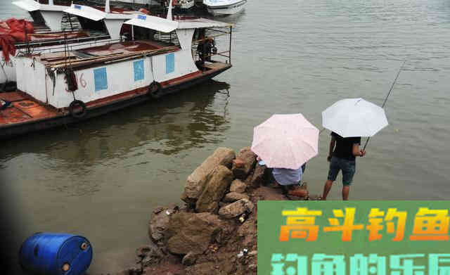 钓鳜鱼要牢记三活,只要方法得当,它比鲫鲤更好钓 钓鳜鱼要牢记三活,只要方法得当,它比鲫鲤更好钓