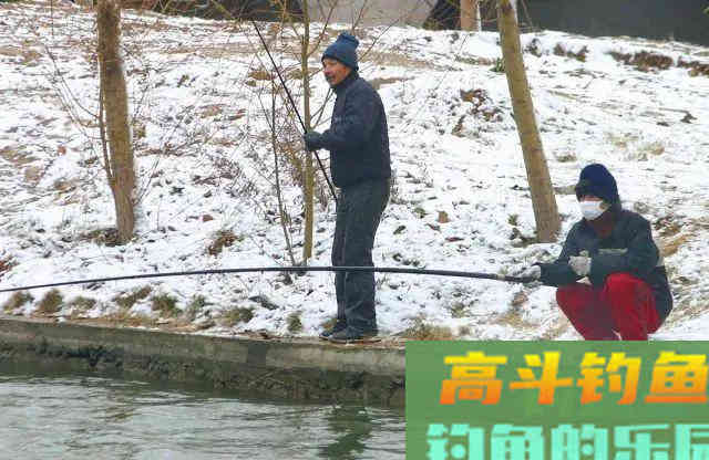 冬季大棚钓鲫鱼,想要渔获多,这三个基础技术常识要明白 冬季大棚钓鲫鱼,想要渔获多,这三个基础技术常识要明白