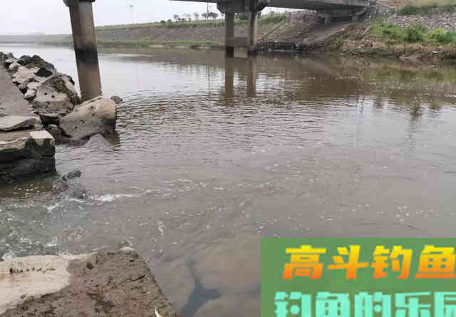 钓鳜鱼要牢记三活,只要方法得当,它比鲫鲤更好钓 钓鳜鱼要牢记三活,只要方法得当,它比鲫鲤更好钓