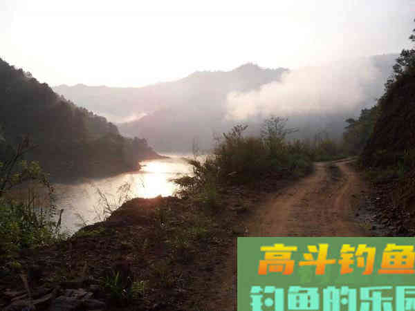 老司机分享多年钓鲢鳙的经验 老司机分享多年钓鲢鳙的经验
