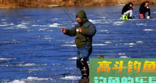 冬季大棚钓鲫鱼,想要渔获多,这三个基础技术常识要明白 冬季大棚钓鲫鱼,想要渔获多,这三个基础技术常识要明白