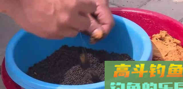 混合塘中直取鲤鱼，这4点尤其要注意
