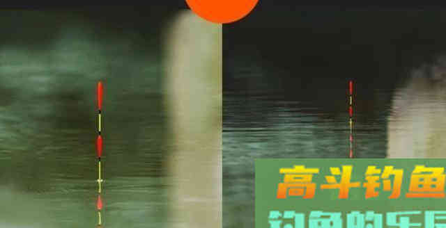 撑握用子线长度、钩距与调钓的关系,是钓获青鱼的关键 撑握用子线长度、钩距与调钓的关系,是钓获青鱼的关键