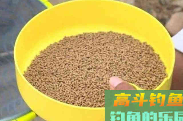 春钓时，按我说的做，大板鲫越钓越过瘾
