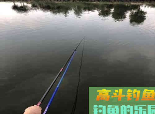 深秋水库如何野钓翘嘴？老钓友教你三招即可