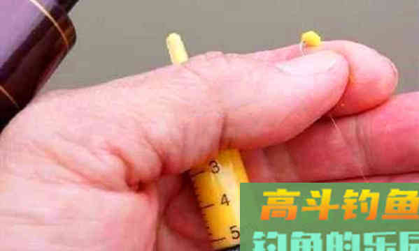 这些钓法看着土，但是论钓鲫鱼的效果，却一点也不含糊