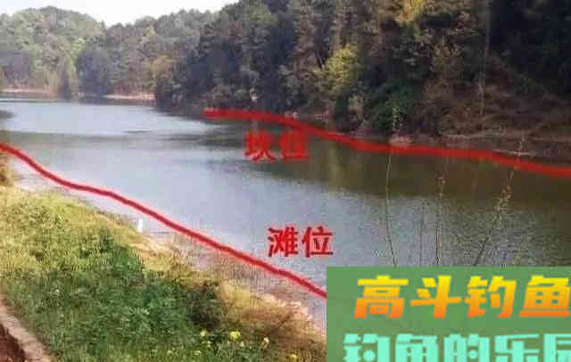 夏季不知如何钓鳊鱼,来看看这些垂钓心得 夏季不知如何钓鳊鱼,来看看这些垂钓心得