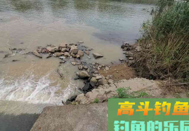 选好位置、用对方法，手竿也能钓鳜鱼