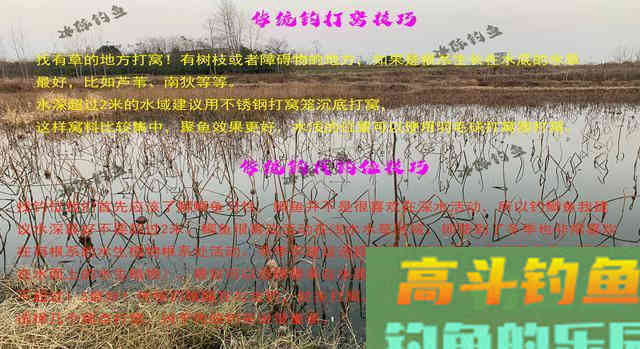 天气降温转凉,钓鲫鱼是钓深还是钓浅 天气降温转凉,钓鲫鱼是钓深还是钓浅