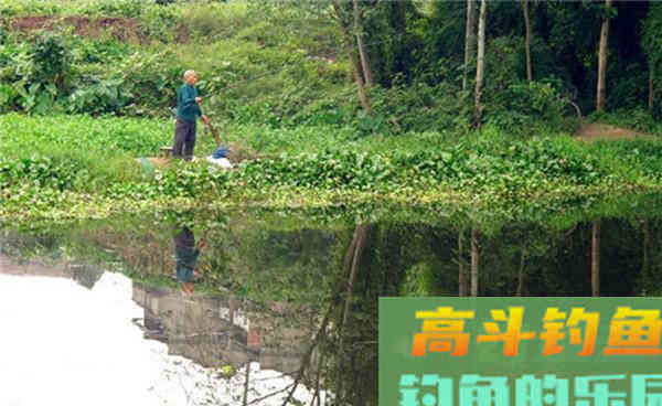 秋季手竿钓黄颡鱼，线组和钓法很关键