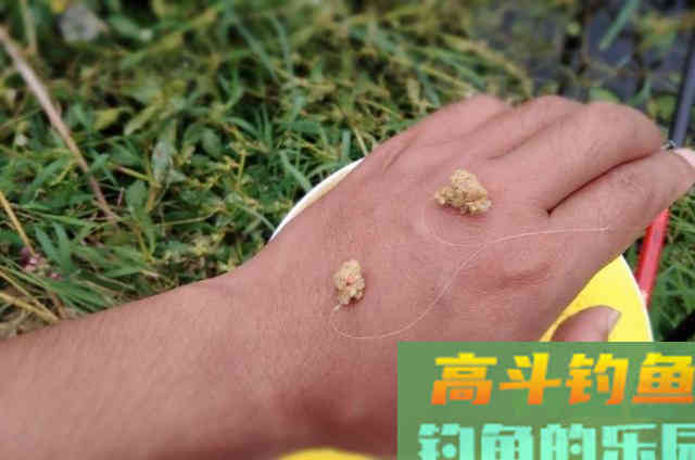秋末期间，水库作钓鲫鱼的3个方法与技巧