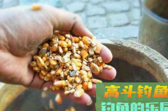 立秋过后，草鱼只要按我说的钓就爆护