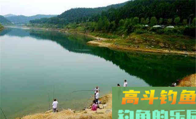 秋天钓鲤鱼比夏天要容易，选准钓位用对饵
