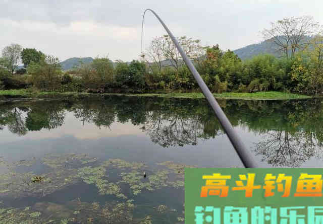 秋季钓鲫鱼,用多长的鱼竿合适 秋季钓鲫鱼,用多长的鱼竿合适