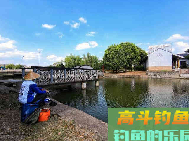进入夏季鲫鱼就难钓？看看这3点你就会懂