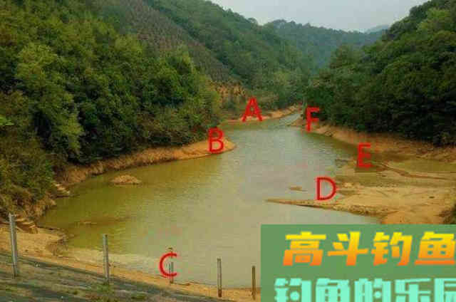 狂拔大鲤鱼的惯用伎俩,一般人还真学不来 狂拔大鲤鱼的惯用伎俩,一般人还真学不来