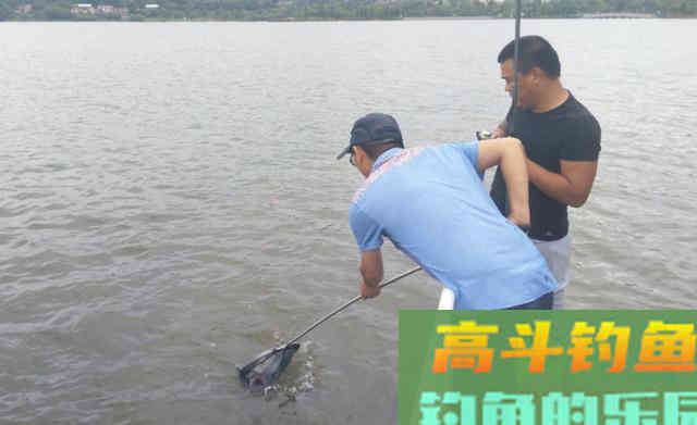 玉米钓草鱼,为何有的人空军,有的人爆护 玉米钓草鱼,为何有的人空军,有的人爆护