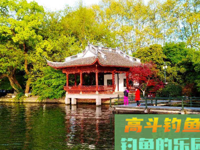 如何在浅水域钓大鲫鱼,学好这3个技巧,爆护不远了 如何在浅水域钓大鲫鱼,学好这3个技巧,爆护不远了