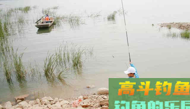 野钓鲤鱼时,为什么你总是提竿不中鱼 野钓鲤鱼时,为什么你总是提竿不中鱼