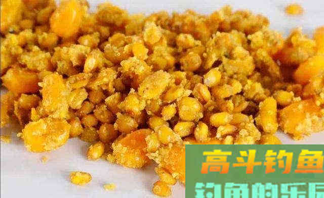 钓不到鲤鱼的原因，没有其他，其实就是以下的6点