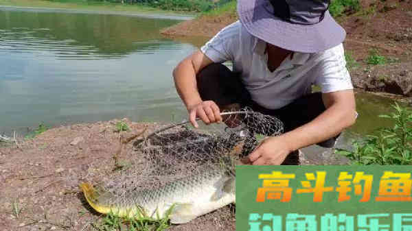 海竿钓鲤鱼，上钩后会出现什么问题，老手都得注意这个
