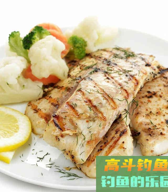 非洲鲫鱼到底有何，魅力让钓鱼人又爱又恨