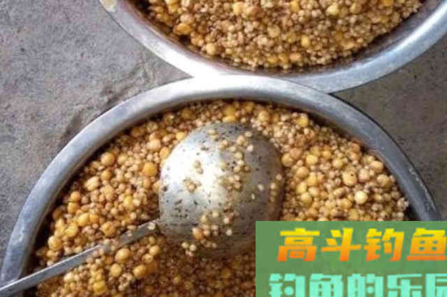 春季气温低，草鱼难钓到怀疑人生？按我说的做