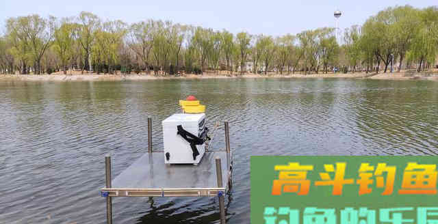 真正会钓鱼的才喜欢钓白条！看他是不是垂钓高手钓会白条就知道了