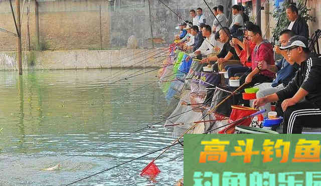 冬季大棚钓鲫鱼,想要渔获多,这三个基础技术常识要明白 冬季大棚钓鲫鱼,想要渔获多,这三个基础技术常识要明白