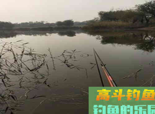 初春野钓遇到鲫鱼浮头怎么钓？学会这3可解决