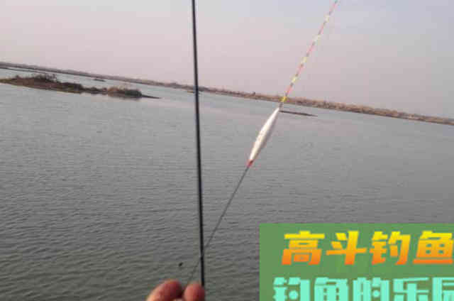不用多说，夏钓唯独这鲫鱼钓法才最霸气