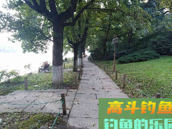 翘嘴鱼的习性与食性 翘嘴鱼的习性与食性