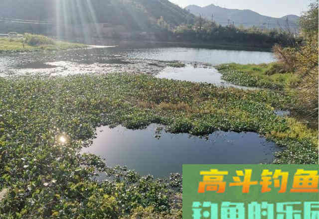 鲫鱼不吃饵那是离底了,初冬水温分层,别守深水钓底 鲫鱼不吃饵那是离底了,初冬水温分层,别守深水钓底