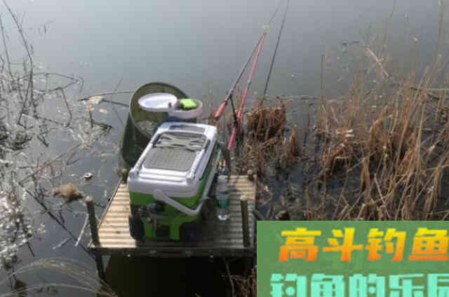 钓了半天都不见板鲫咬钩?那是你没找到这3个地方 钓了半天都不见板鲫咬钩?那是你没找到这3个地方
