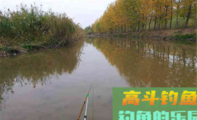 农村野河是主战场，在这4种位置下竿，钓大板鲫更容易