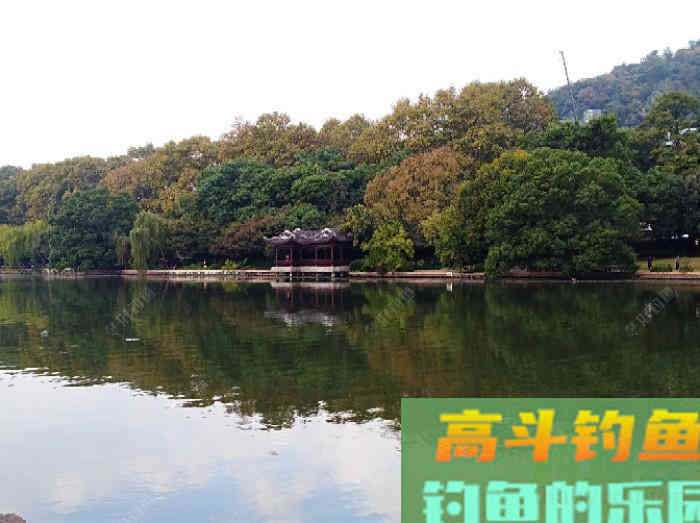 初冬钓大鲫体会，从四个方面解析，教你钓大鲫鱼
