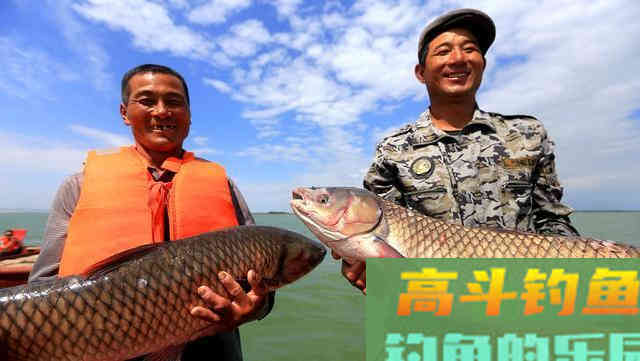 作钓草鱼，学会这样去调钓，钓底钓浮一招搞定