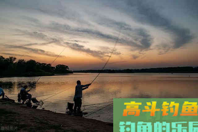 野钓黄辣丁的技巧，一般人我不告诉