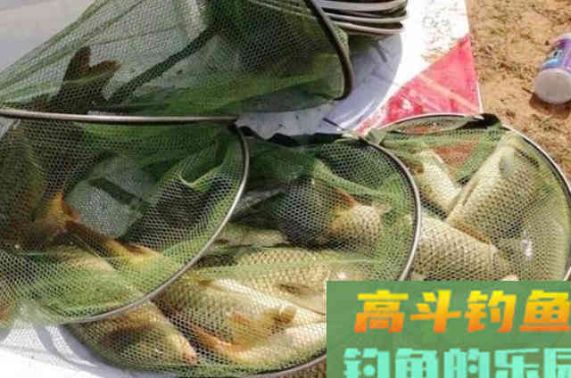 治服,鲤鱼就用这钓法方法,简单又实用 治服,鲤鱼就用这钓法方法,简单又实用