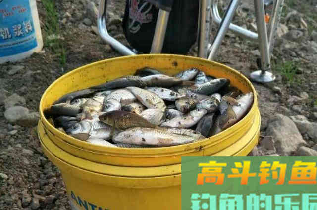 针对天气凉了钓鲫鱼的三种技巧