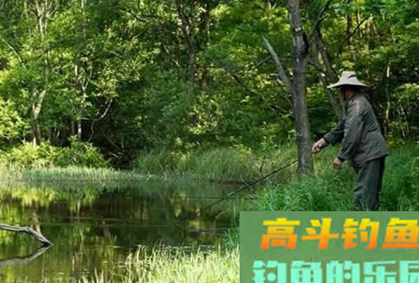 仲秋钓鲫鱼，要用这两种钓法