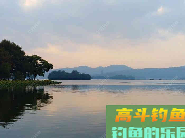 初冬钓大鲫体会，从四个方面解析，教你钓大鲫鱼