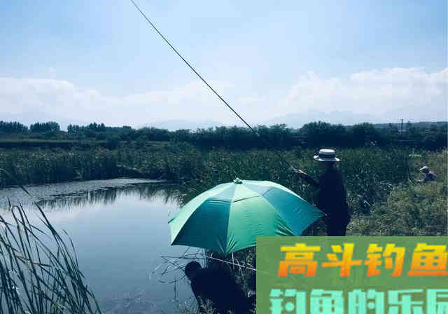索性将手竿钓鲢鳙之四大要素就此分享 索性将手竿钓鲢鳙之四大要素就此分享