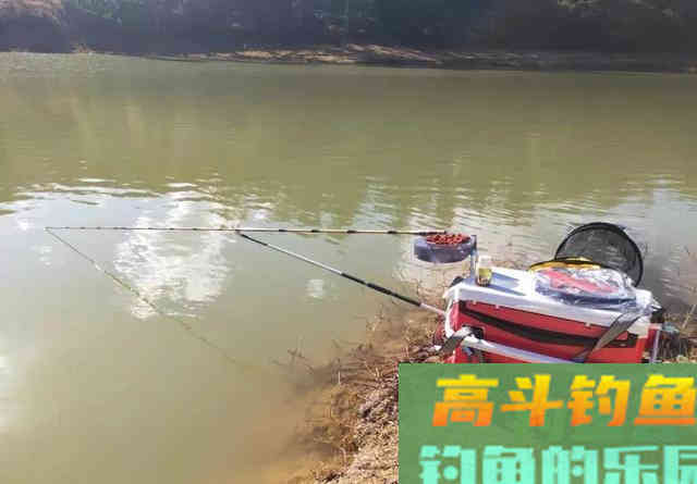 野钓白条技巧：抓住6个重点，你也能变成高手