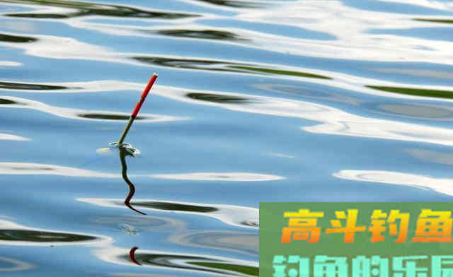 钓土鲮如何提高命中率及渔获？从选装备开始