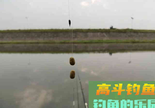 钓鲤鱼如何调漂？是一钩到底一钩悬浮好