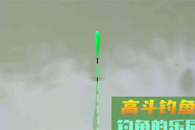 冬钓大鲫鱼,调钓宜灵还是宜钝,这取决于用什么样的饵料 冬钓大鲫鱼,调钓宜灵还是宜钝,这取决于用什么样的饵料